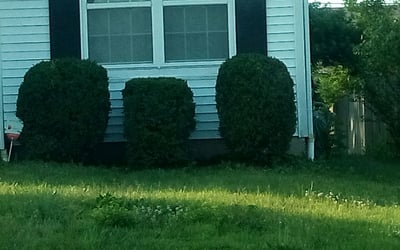 Photo of Stephanie K.'s yard after getting landscaping in Lithopolis, OH