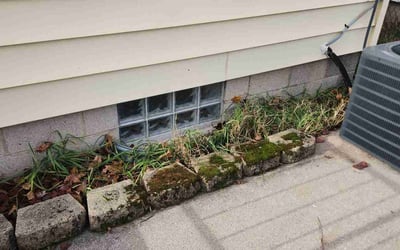 Photo of Barbara M.'s yard after getting landscaping in Eagle, WI