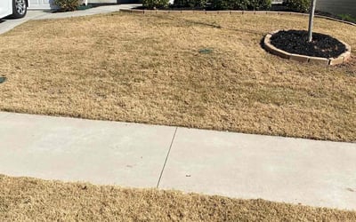 Photo of Albert B.'s yard after getting landscaping in Central, SC