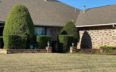 Photo of Robin C.'s yard after getting landscaping in Newalla, OK