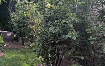 Photo of Eric L.'s yard after getting landscaping in Verona, WI