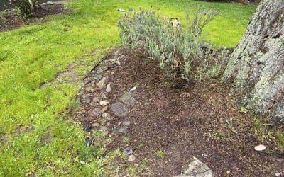Photo of Fred M.'s yard after getting landscaping in Pacific, WA