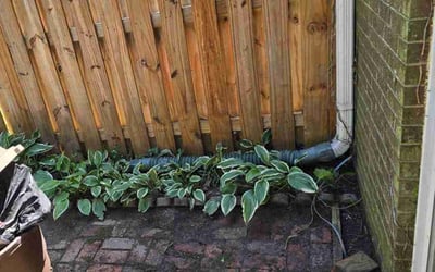 Photo of adrianne d.'s yard after getting landscaping in Fairfax, VA