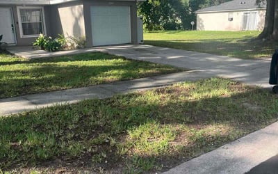 Photo of Jessica L.'s yard after getting landscaping in Tampa, FL
