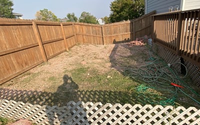 Photo of Matthew H.'s yard after getting landscaping in Georgetown, CO