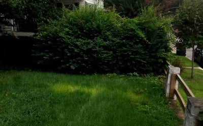 Photo of James W.'s yard after getting landscaping in Woodville, VA
