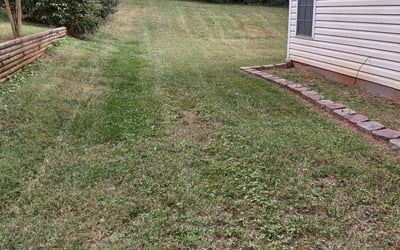 Photo of Mark B.'s yard after getting tree care in Salisbury, NC