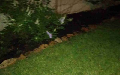 Photo of Sarah S.'s yard after getting landscaping in Bellville, TX