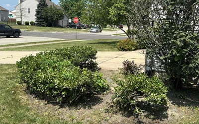 Photo of Diana B.'s yard after getting landscaping in Greenfield, IN