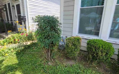 Photo of Angela L.'s yard after getting landscaping in Louisville, KY