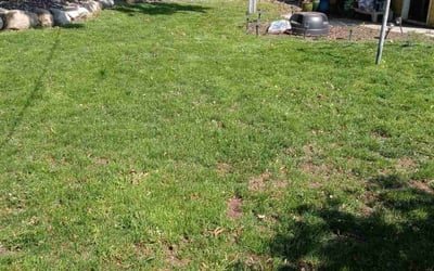 Photo of Mary M.'s yard after getting landscaping in Saint Francis, MN