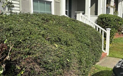 Photo of Kevin A.'s yard after getting landscaping in West Columbia, SC