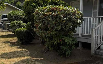 Photo of Justin M.'s yard after getting lawn care in Vancouver, WA