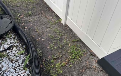 Photo of Drew C.'s yard after getting landscaping in Tampa, FL