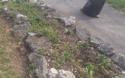 Photo of Taylor B.'s yard after getting landscaping in Laurelville, OH