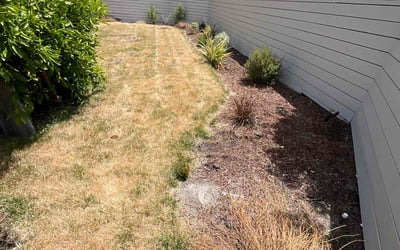 Photo of Ophelia R.'s yard after getting tree care in Santa Maria, CA