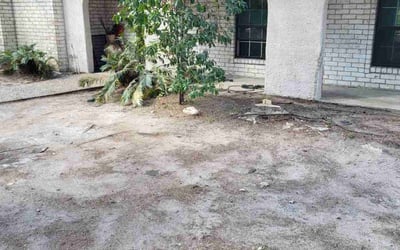 Photo of Donna M.'s yard after getting landscaping in Wallis, TX