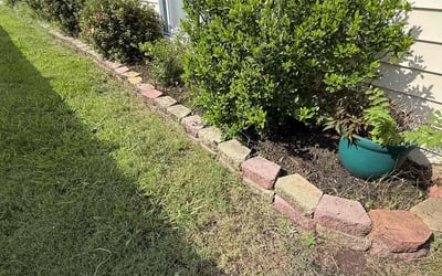 Photo of Diana U.'s yard after getting landscaping in Virginia Beach, VA