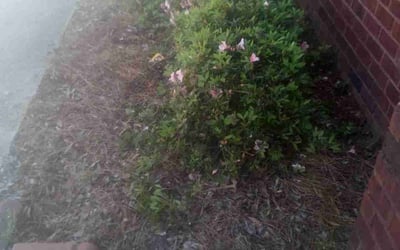Photo of Amanda C.'s yard after getting landscaping in Pell City, AL