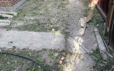 Photo of Tyler D.'s yard after getting landscaping in Georgetown, CO