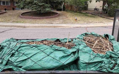 Photo of Jennifer R.'s yard after getting landscaping in Palmer Lake, CO