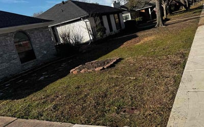 Photo of Angela M.'s yard after getting landscaping in Scurry, TX