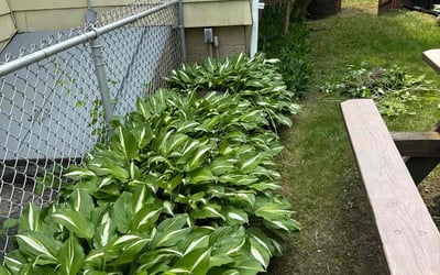 Photo of Wendy G.'s yard after getting landscaping in Holyoke, MA