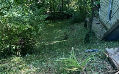 Photo of Catrice M.'s yard after getting landscaping in Brooksville, KY