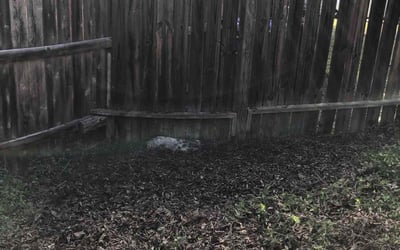 Photo of Ryan B.'s yard after getting landscaping in Kingsbury, TX