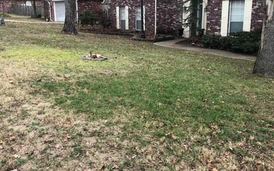Photo of Donald R.'s yard after getting landscaping in Claremore, OK