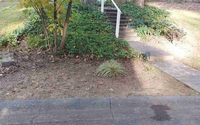 Photo of Calvin R.'s yard after getting tree care in Derwood, MD