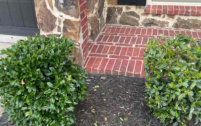 Photo of Pete L.'s yard after getting landscaping in Waxahachie, TX