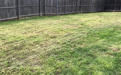 Photo of Jeremy L.'s yard after getting landscaping in Milford, TX