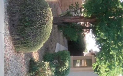Photo of Anderson S.'s yard after getting landscaping in Morristown, AZ