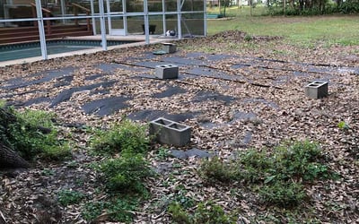 Photo of Jessica S.'s yard after getting landscaping in Dunnellon, FL