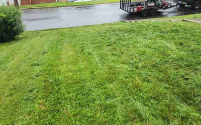 Photo of Robert K.'s yard after getting landscaping in Vernon Rockville, CT