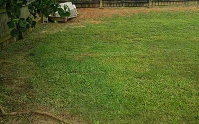Photo of Mark H.'s yard after getting landscaping in Mobile, AL