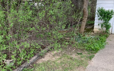 Photo of Roderick V.'s yard after getting landscaping in Chardon, OH