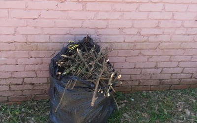 Photo of David A.'s yard after getting landscaping in Central, SC
