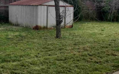 Photo of Brandon D.'s yard after getting landscaping in Alief, TX