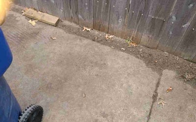 Photo of Jessica S.'s yard after getting landscaping in Kingman, KS