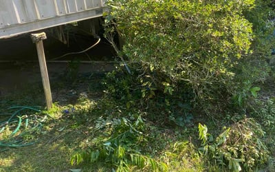 Photo of David S.'s yard after getting landscaping in Phenix City, AL