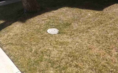 Photo of Justin B.'s yard after getting landscaping in Tracy, CA