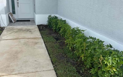 Photo of Jonathan P.'s yard after getting landscaping in Palm City, FL