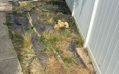 Photo of Eric N.'s yard after getting landscaping in Clayton, NC