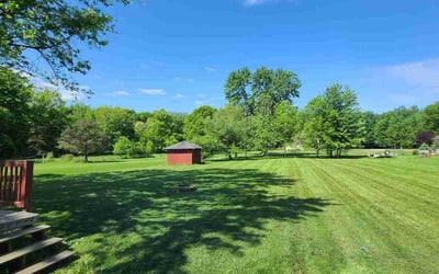 Photo of Elizabeth N.'s yard after getting lawn care in Sheffield Lake, OH