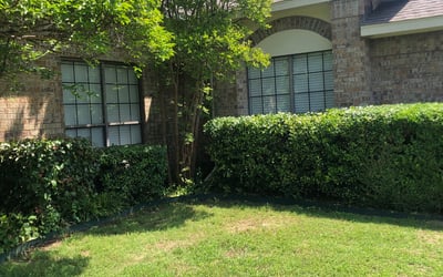 Photo of Sharon H.'s yard after getting landscaping in Elmo, TX