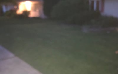 Photo of Kim S.'s yard after getting landscaping in Homer Glen, IL