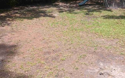 Photo of David G.'s yard after getting tree care in Denham Springs, LA