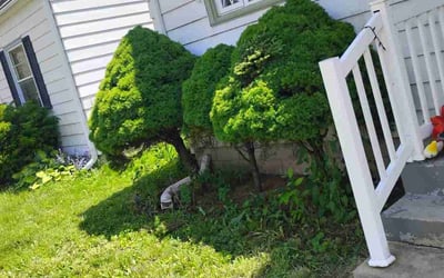 Photo of Brad H.'s yard after getting landscaping in Colgate, WI